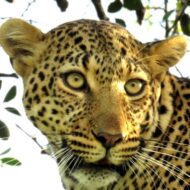 African Trails Expeditions Ltd 